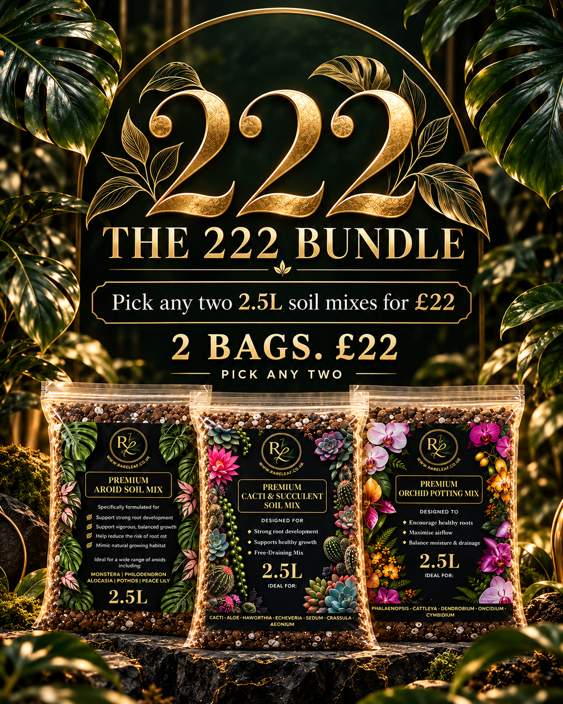 The 222 Bundle – Pick Any 2