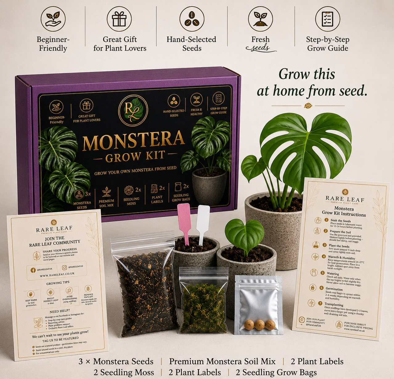 Grow Your Own Monstera Kit 🌿
