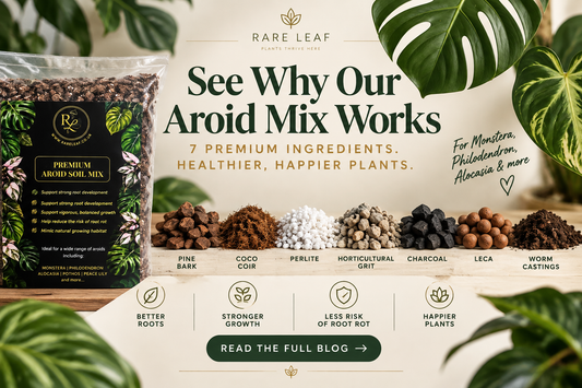 What’s in Rare Leaf Premium Aroid Soil Mix? 7 Ingredients Explained