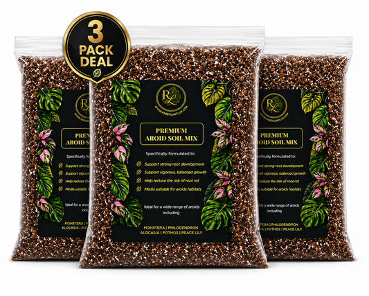 3 x Premium Aroid Soil Mix - Best Value Bundle