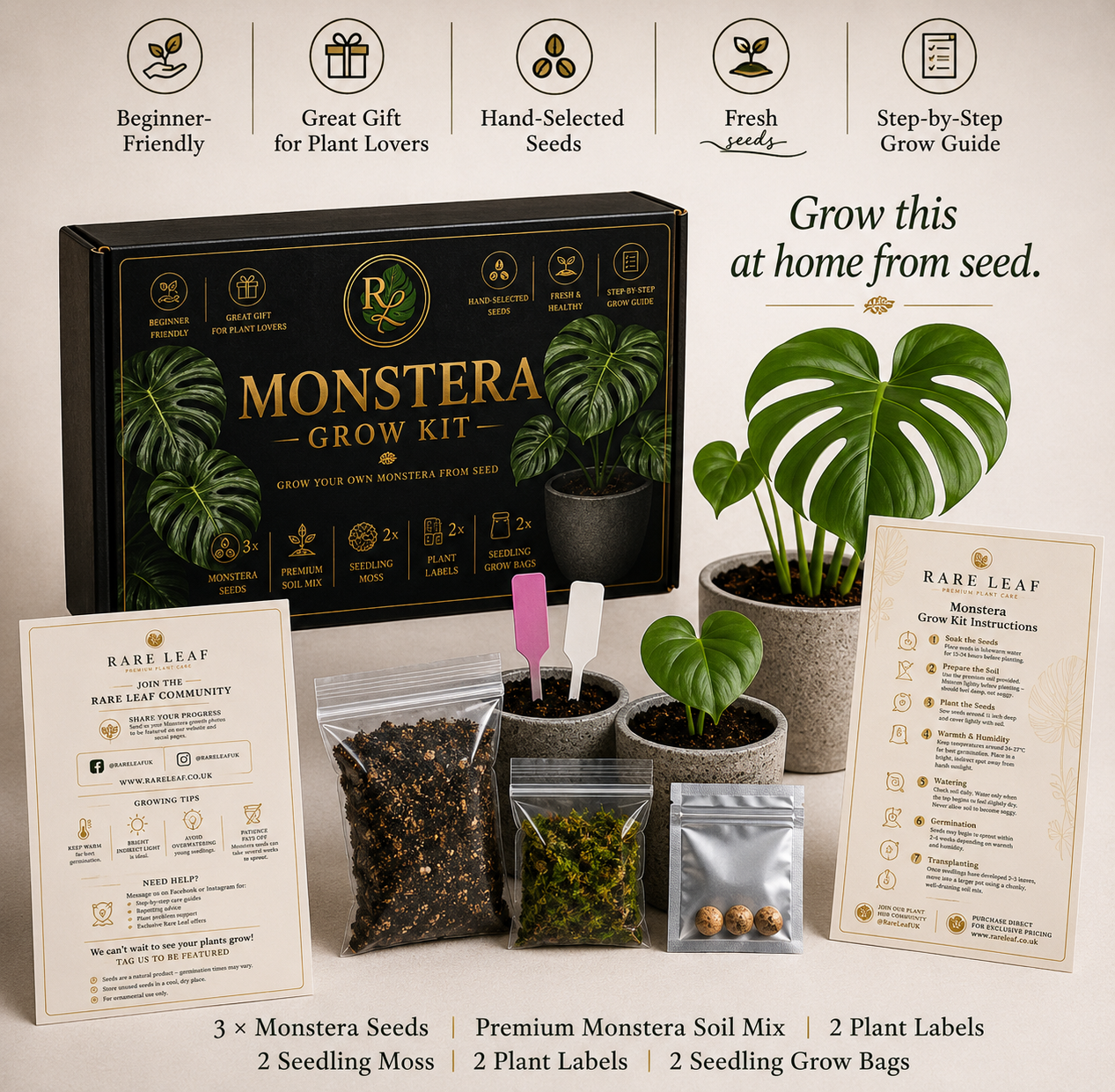 Grow Your Own Monstera Kit 🌿
