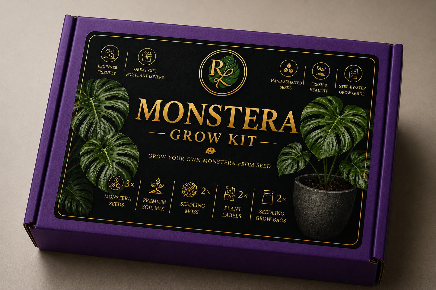 Grow Your Own Monstera Kit 🌿