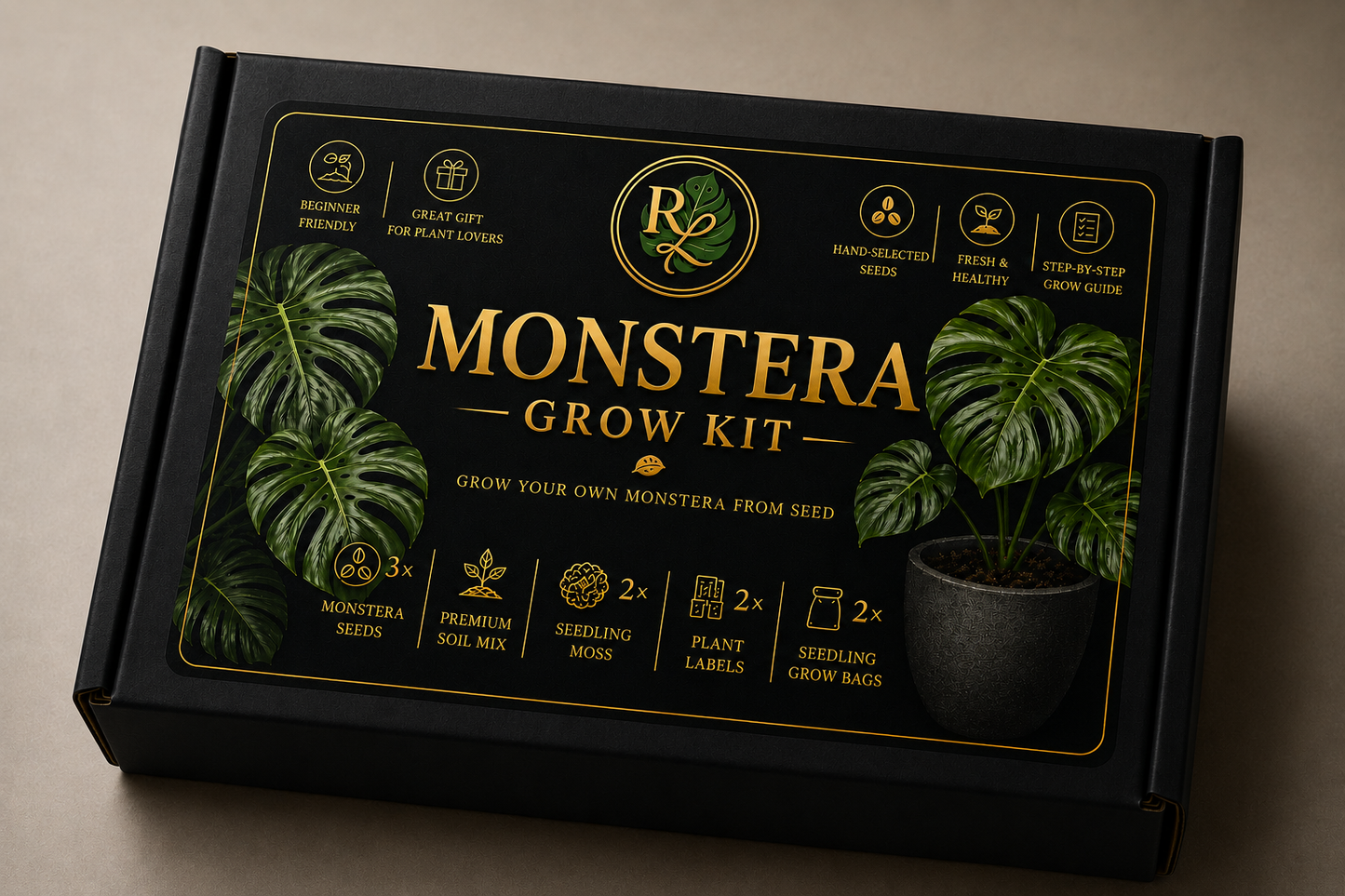 Grow Your Own Monstera Kit 🌿