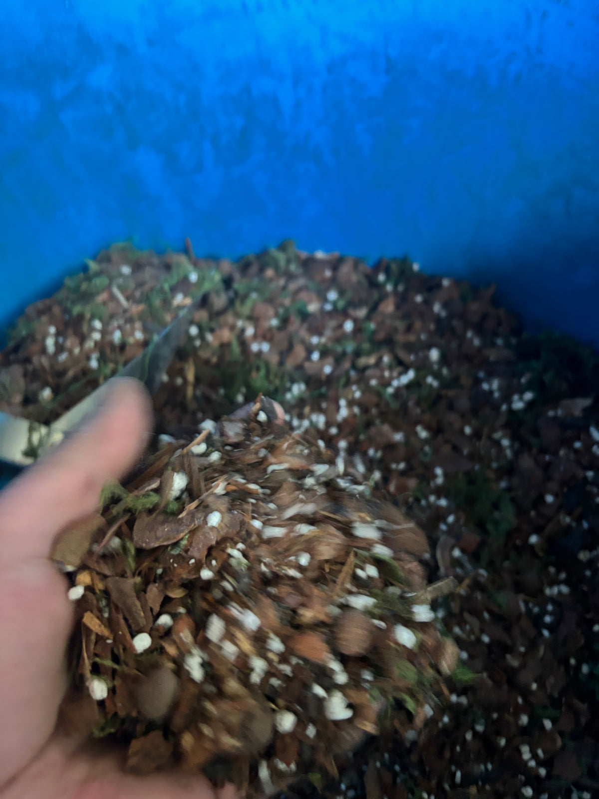 Premium Orchid Potting Mix 2.5L | Chunky Peat-Free Mix for Phalaenopsis, Dendrobium, Cattleya, Oncidium & Other Orchids