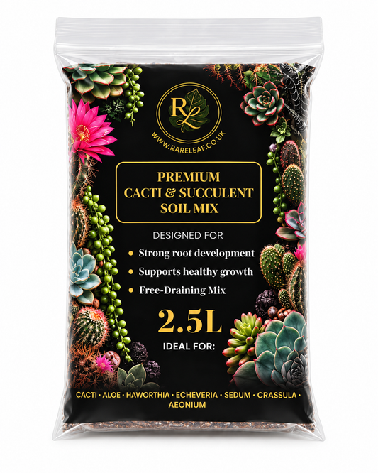 Premium Cacti & Succulent Soil Mix 2.5L | Free-Draining Peat-Free Potting Mix for Cactus, Aloe, Haworthia, Echeveria, Sedum & Aeonium