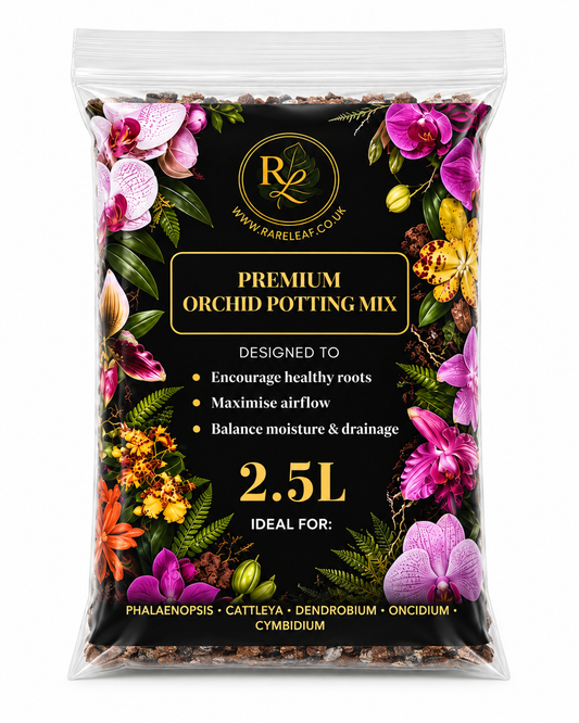 Premium Orchid Potting Mix 2.5L | Chunky Peat-Free Mix for Phalaenopsis, Dendrobium, Cattleya, Oncidium & Other Orchids