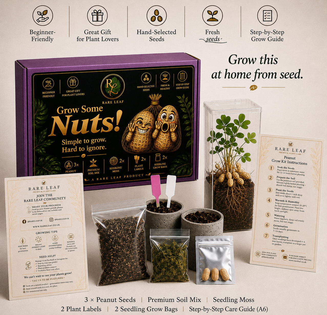 Grow Your Own Peanut Kit 🌱🥜