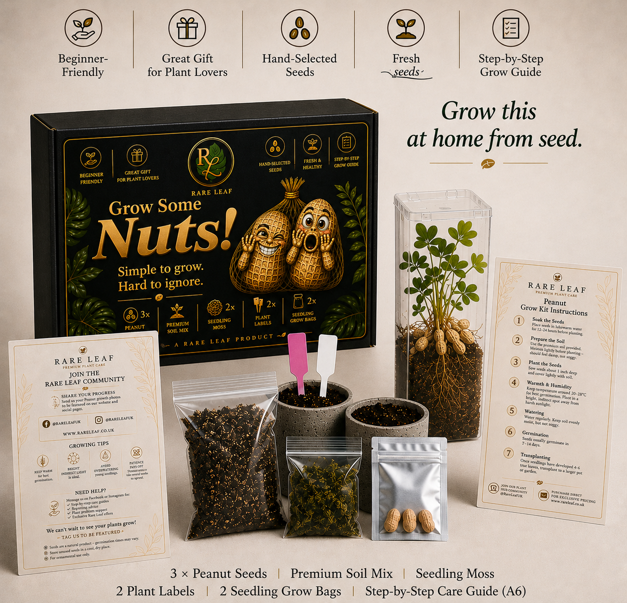 Grow Your Own Peanut Kit 🌱🥜